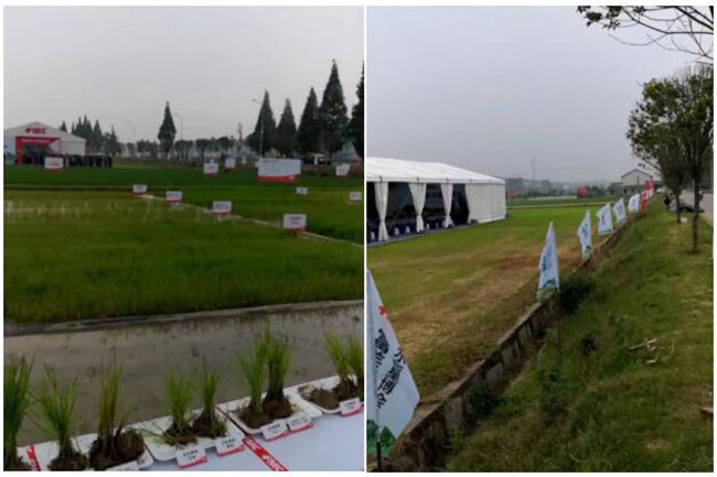 長沙展覽展示設(shè)計(jì),商業(yè)空間設(shè)計(jì),長沙五岳展覽服務(wù)有限公司 長沙展覽展示設(shè)計(jì),商業(yè)空間設(shè)計(jì),長沙五岳展覽服務(wù)有限公司